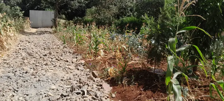 40 × 150 Plot, Ruaka — photo 2
